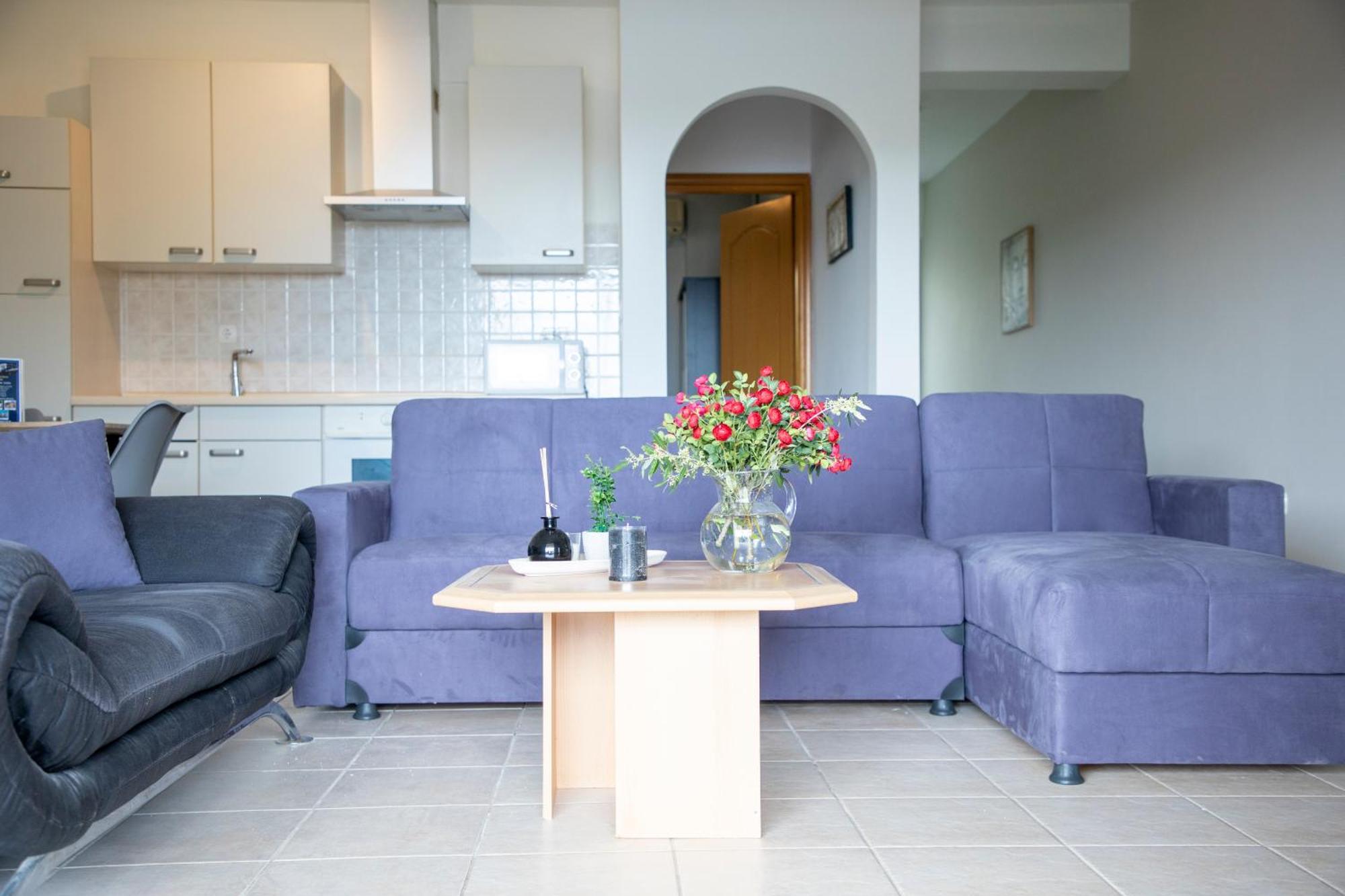 Apartment Anesis *